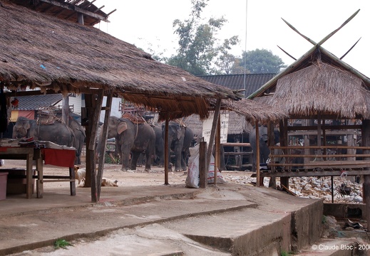 Village Akha ruammit
